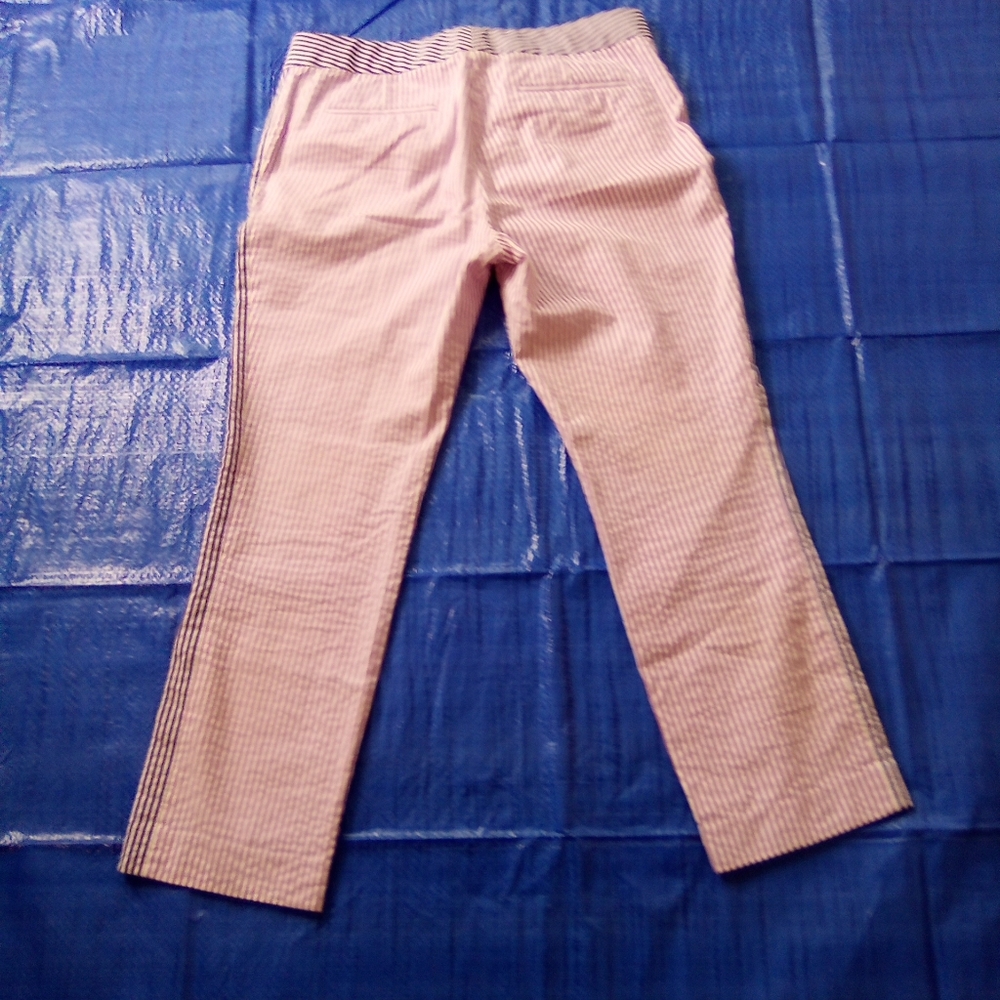 J. CREW Purple With Blue Women's Pants SIZE 6 - Picture 5 of 9
